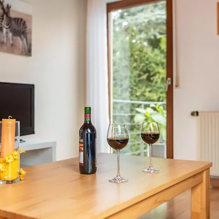 Daire Haus Annette Immenstaad am Bodensee